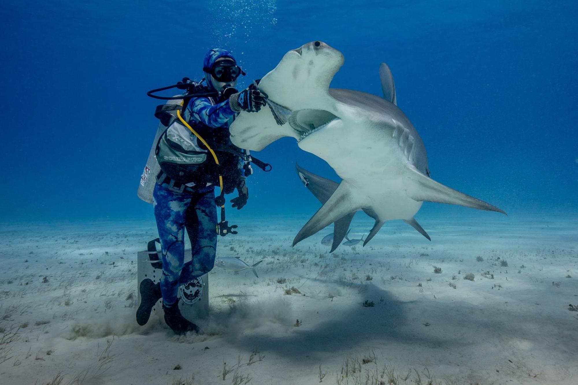 Bimini Big Game Club Resort & Marina Alice Town  Εξωτερικό φωτογραφία