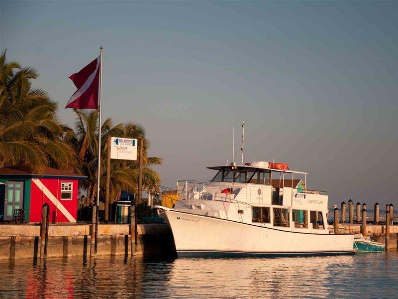 Bimini Big Game Club Resort & Marina Alice Town  Ανέσεις φωτογραφία